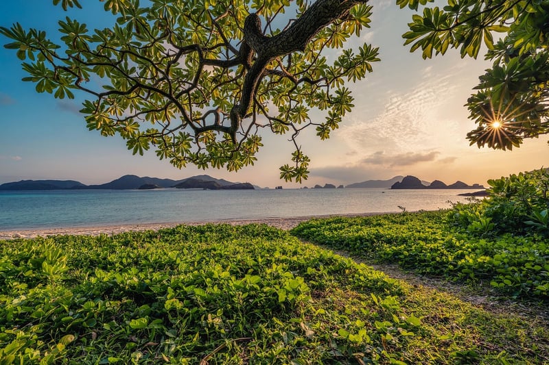 Nature Walking Image